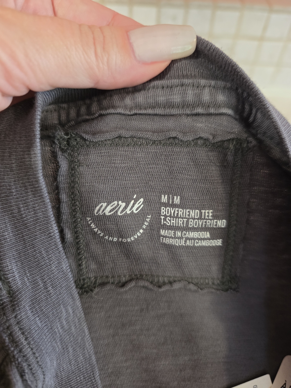 aerie NWT Charcoal Gray Graphic Short Sleeve Tee Boyfriend Boxy T White Tiger - Picture 10 of 14